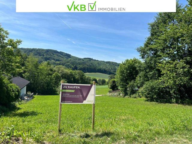 Immobilie kaufen in Enzenwinkl, Leonding