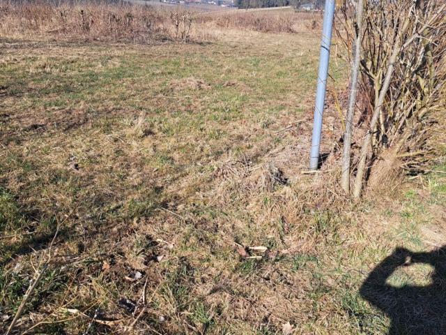 Grundstück kaufen in Wippenham, Oberösterreich