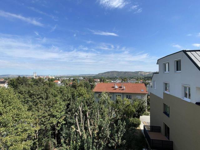 Apartment kaufen in Weidling, Klosterneuburg