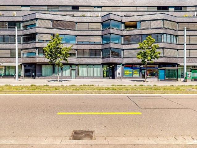 Apartment mieten in Grossbasel, Basel