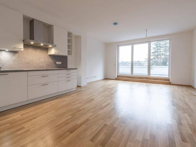 Apartment mieten in Mödling, Schöffelstadt