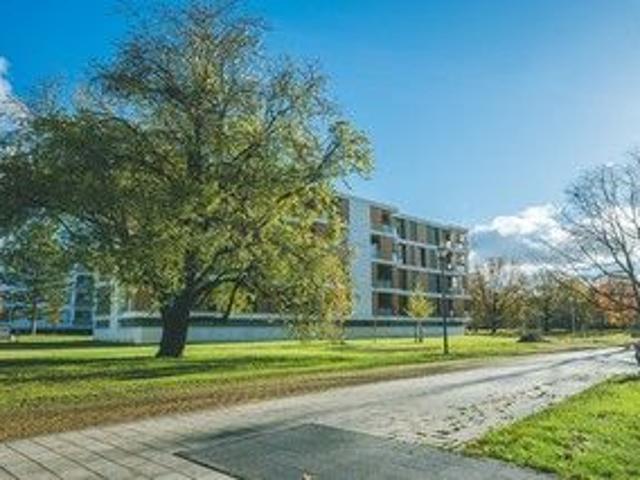 Apartment mieten in Stadtmitte, Wolfsburg