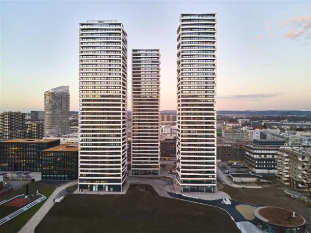 Wohnung mieten in Dübendorf, Zürich
