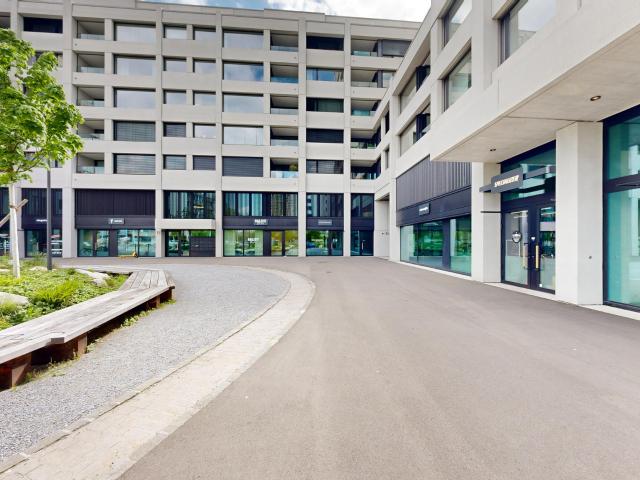 Apartment mieten in Einigen, Zürich