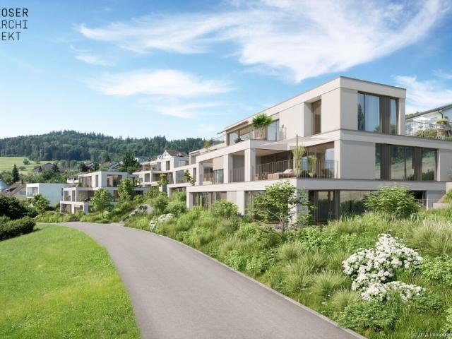 Wohnung kaufen in Dintikon, Aargau