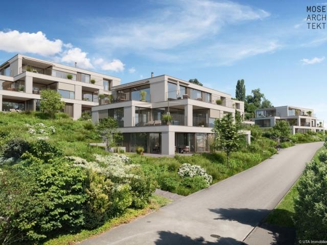 Wohnung kaufen in Dintikon, Aargau