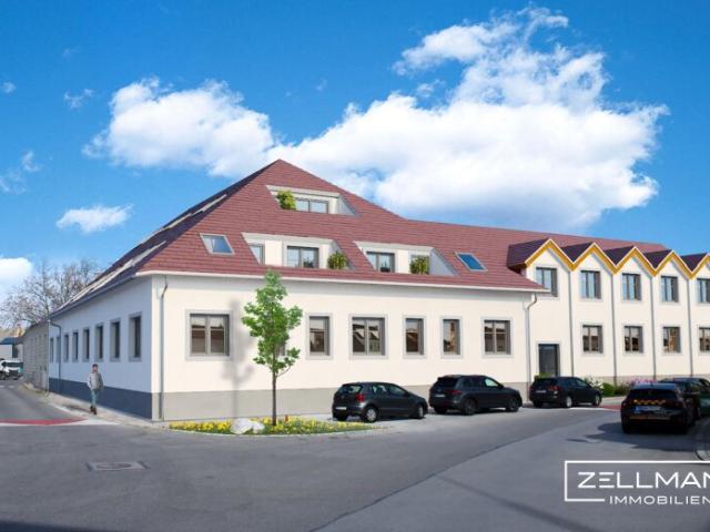 Wohnung kaufen in Katastralgemeinde Traiskirchen, Traiskirchen