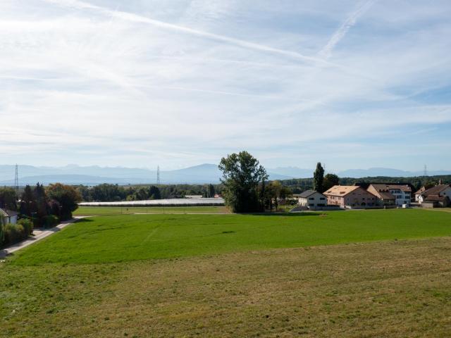 Haus kaufen in Borex, Waadt