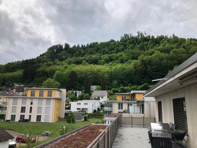 Apartment mieten in Brugg (AG), Aargau