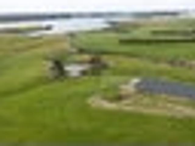 Land for sale in Longwood, Southland