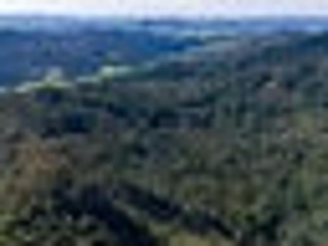 Land for sale in Fairburn, Northland