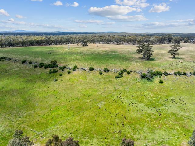 Property for sale in Campbelltown, Victoria