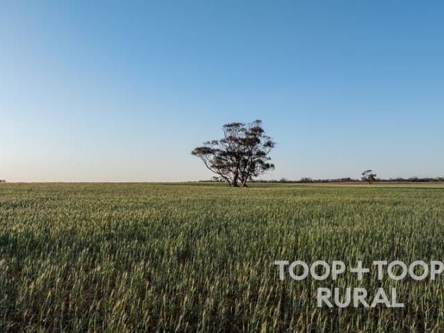 Cottage for sale in Murbko, South Australia