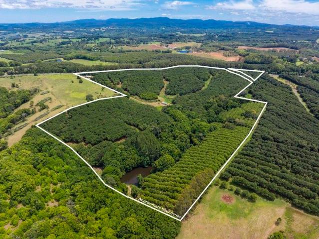 Cottage for sale in Clunes, New South Wales