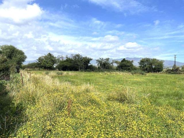 Land for sale in Westport