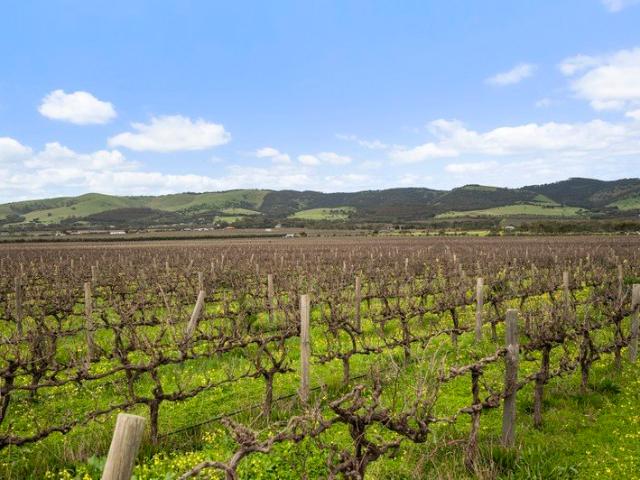 Land for sale in Horseshoe Creek, South Australia