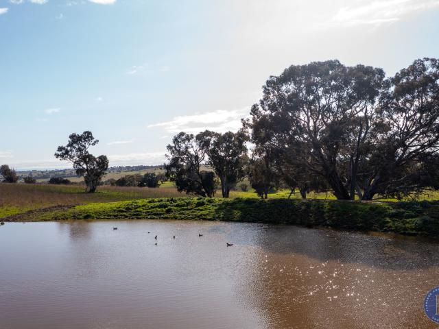 Property for sale in Murringo, Hilltops Council