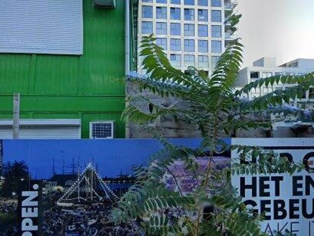 Appartement te huur in Centrum, Rotterdam