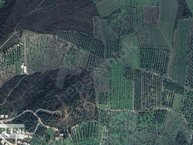 Osmangazi, Bursa içerisinde satılık Arsa