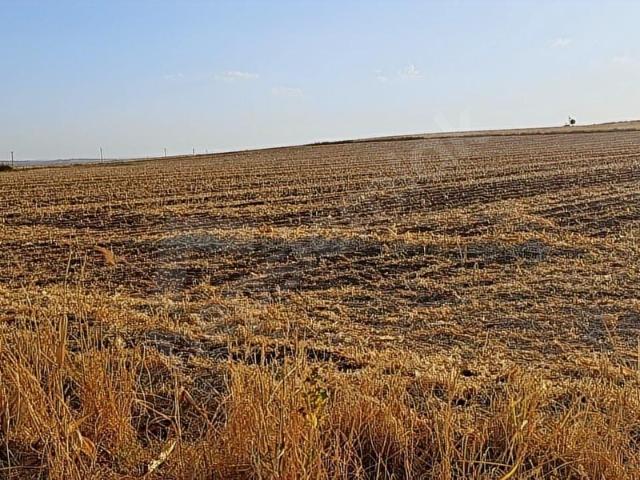 Bismil, Diyarbakir içerisinde satılık Arsa