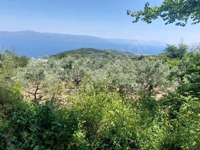 Mudanya, Bursa içerisinde satılık mülk