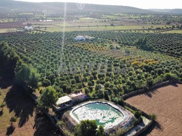 Propriété vente à Essaouira, L'Oriental