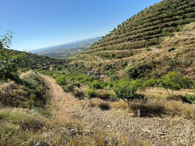 Vivenda venda em Guarda, Longroiva
