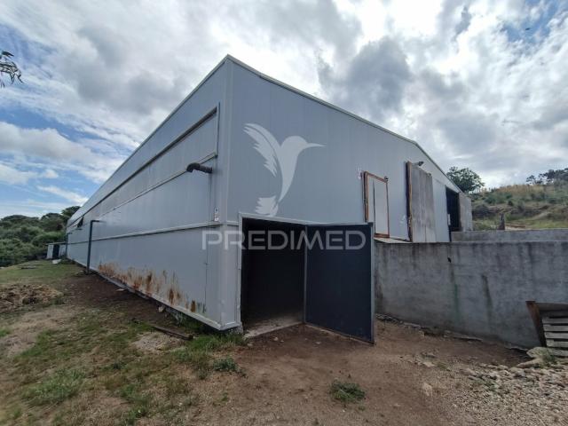 Quinta venda em Guarda, Trancoso
