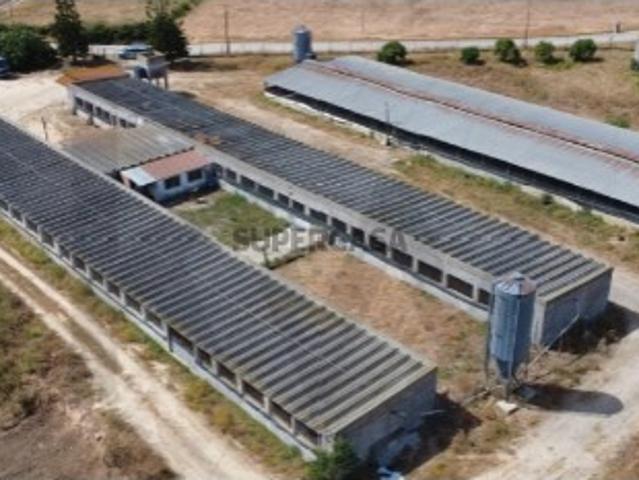 Terreno venda em Palmela