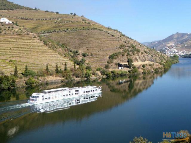 Quinta venda em Alijó, Vila Real
