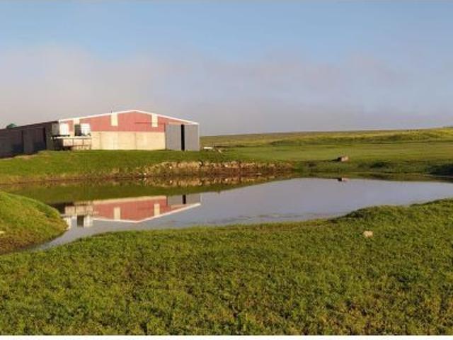 Casa en venta en Brozas, Extremadura