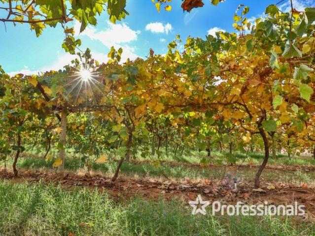 Cottage for sale in Cardross, Victoria