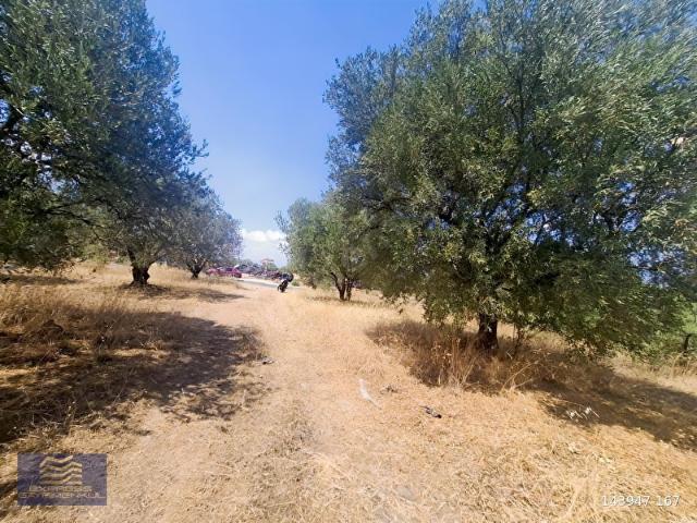 Yazır, Karacasu içerisinde satılık Arsa