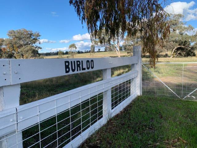 Cottage for sale in Coonabarabran, New South Wales