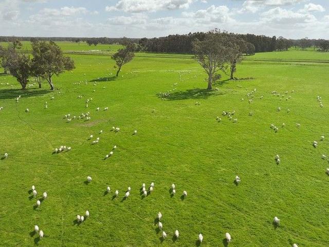 Cottage for sale in Comaum, South Australia