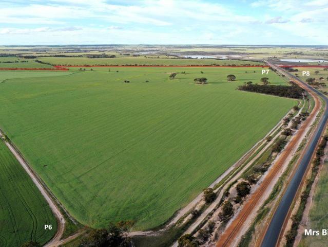 Cottage for rent in Shire Of Lake Grace, Western Australia