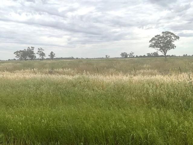 Property for rent in Curban, Gilgandra Shire Council