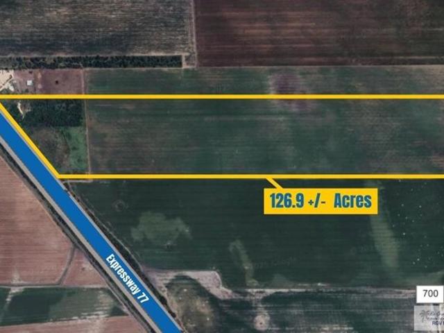 Land for sale in Harlingen