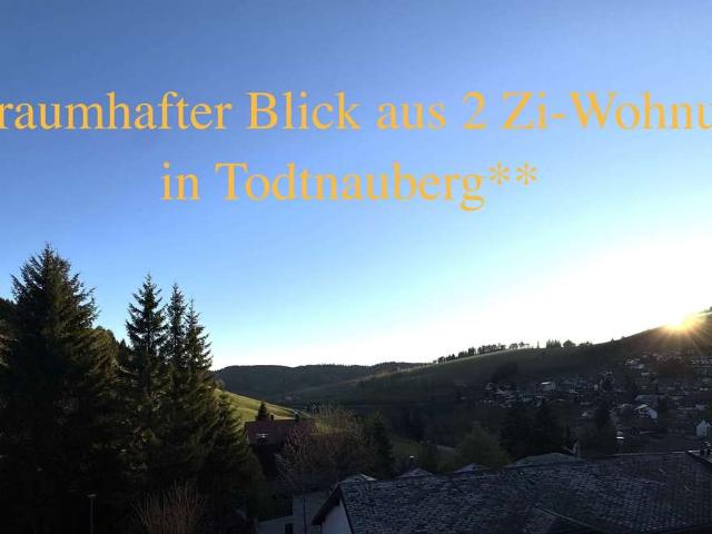 Wohnung kaufen in Todtnauberg, Todtnau