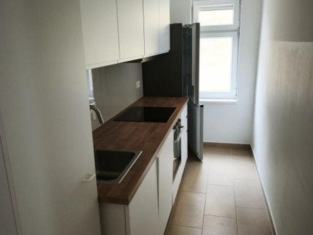 Apartment mieten in Katastralgemeinde Horn, Horn