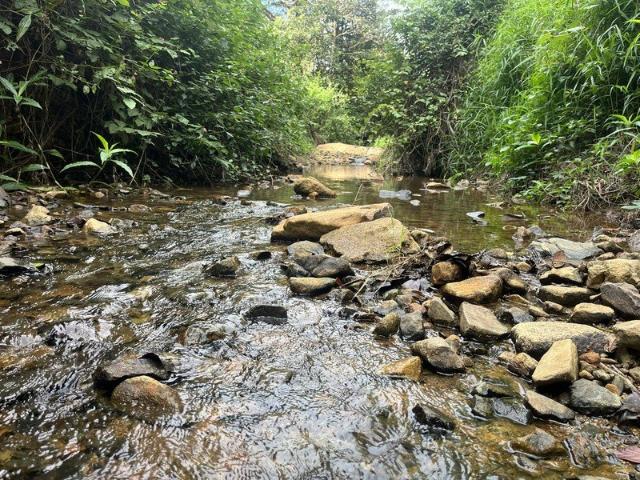 Land for sale in Eungella, Queensland