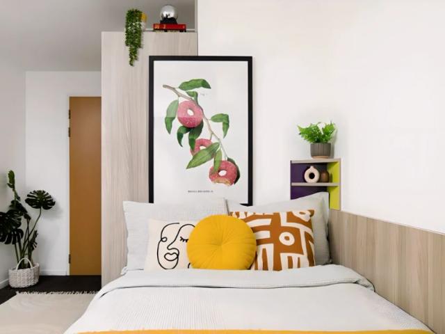 Room for rent in Castle Quarter, Falcon Lodge