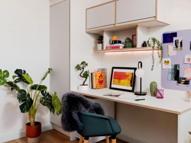 Studio for rent in Lauriston, Scotland