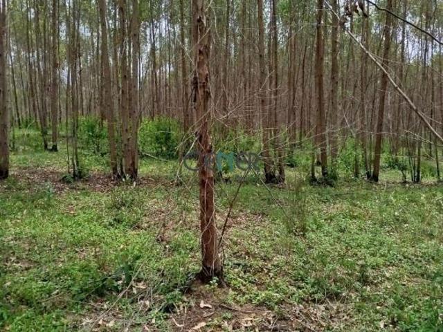 Sítio e chácara venda em Região Geográfica Imediata de Juiz de Fora, Lima Duarte
