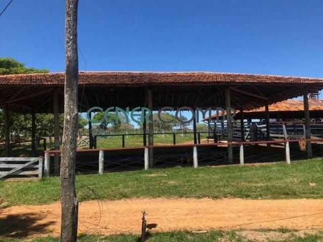 Sítio e chácara venda em Curvelo, Região Geográfica Intermediária de Belo Horizonte