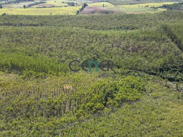 Sítio e chácara venda em Região Geográfica Imediata de Sete Lagoas, Região Metropolitana de Belo Horizonte