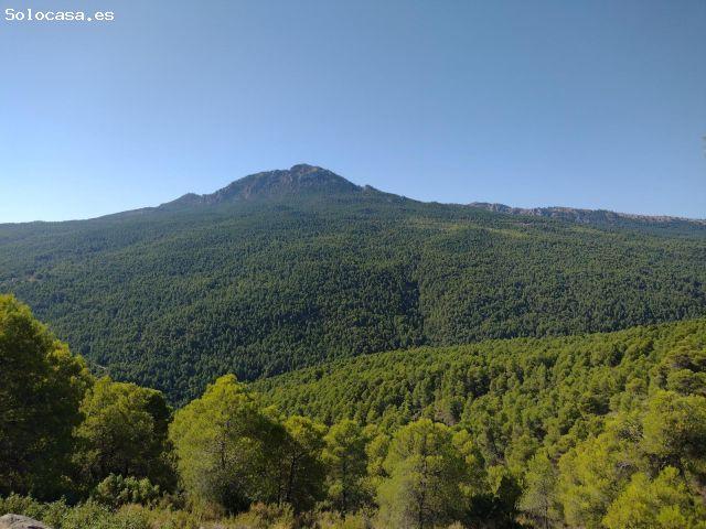 Local Comercial en venta en Moratalla, Región de Murcia