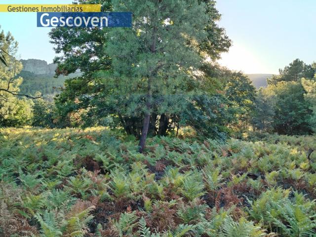 Terreno en venta en Valencia De Alcántara, Extremadura