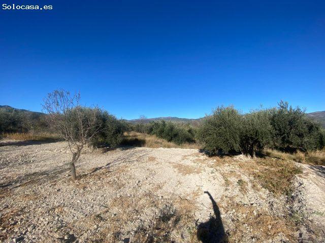 Local Comercial en venta en Moratalla, Región de Murcia
