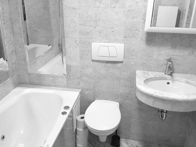 Apartment mieten in Innere Stadt, Wien